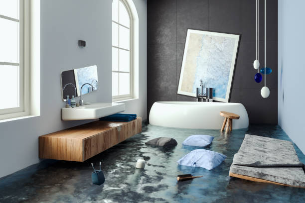 Best Water damage restoration near me  in Bridgeport, IL