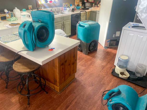  Bridgeport, IL Water damage restoration Pros