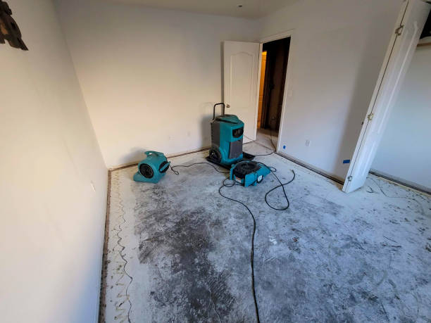 Best Water damage restoration services  in Bridgeport, IL