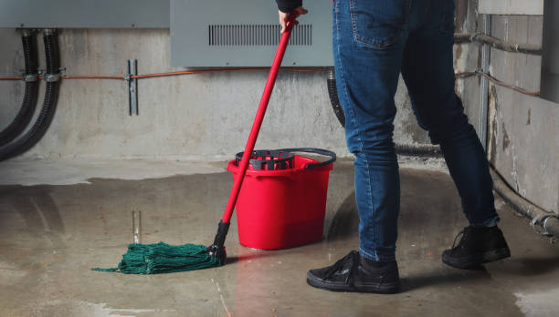 Best Water damage repair service  in Bridgeport, IL