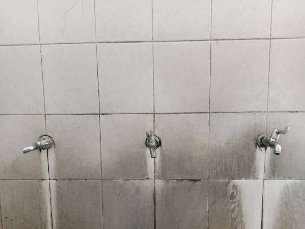 Best Commercial water damage restoration  in Bridgeport, IL
