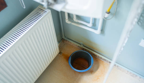 Best Water damage restoration process  in Bridgeport, IL